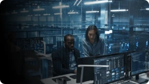 Professional Services