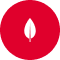 MongoDB