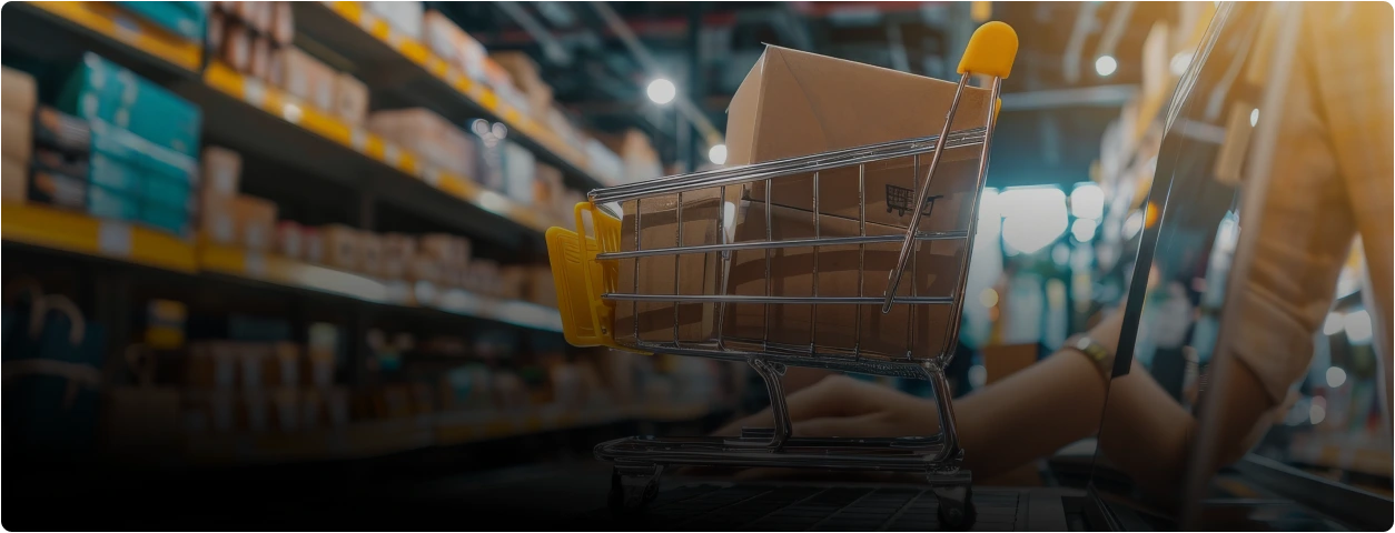 Retail Web Application Solutions